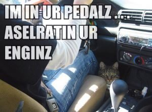 Driver error, such as trash rolling around, mixing up the pedals or direction, even house pets can interfere with pedal operation.