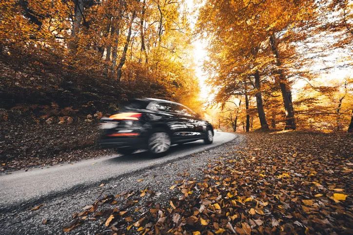 Vehicle driving down an autumn road