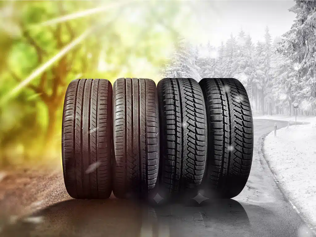 tires shown on a background illustrating different seasons